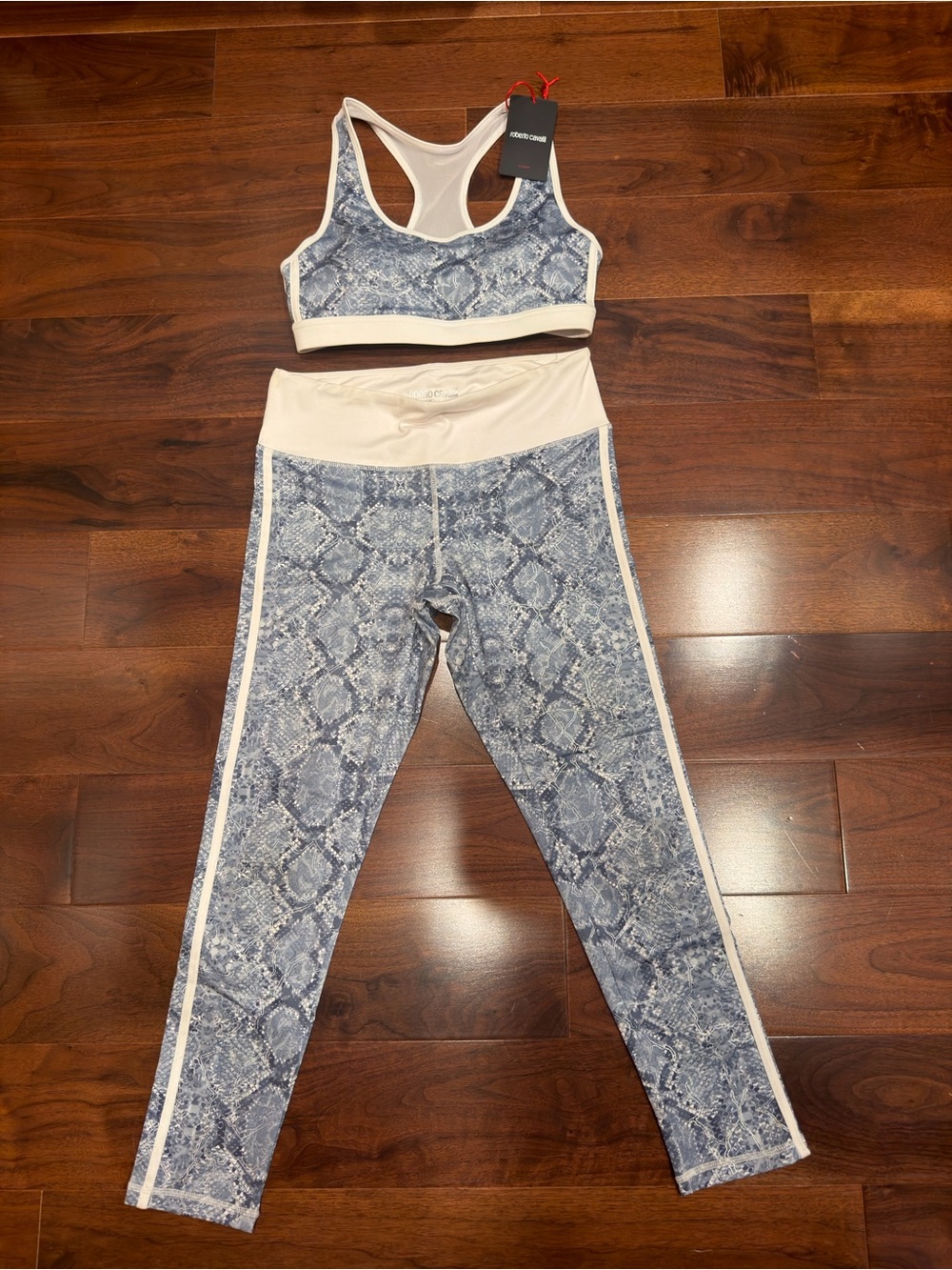 Roberto Cavalli Blue Snake-Print Leggings with Matching Sports Bra